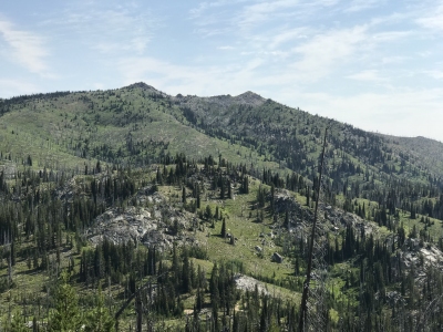 Cornice Point