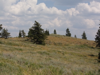 Commissary Ridge