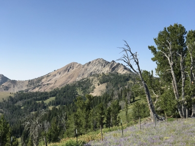 "North Smoky Dome"