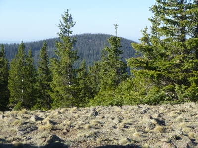 Paradise Butte