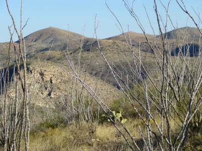 Driscoll Mountain