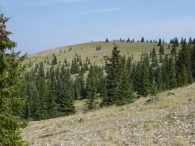 Brazos Ridge