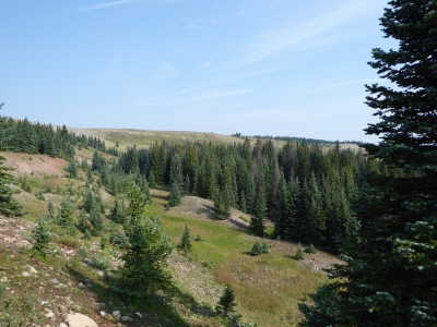 Cruces Basin Wilderness HP