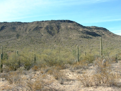 3010