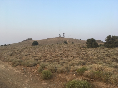 Ophir Hill