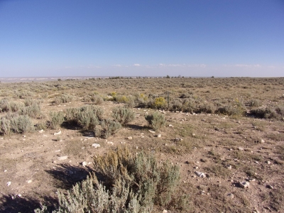 Big Mesa
