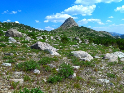 "Midsummer Dome"