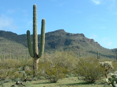 Cave Mountain