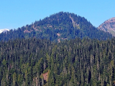 Buell Peak