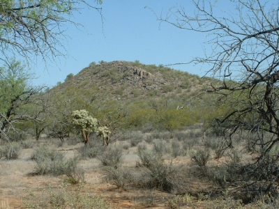 Wolfley Hill