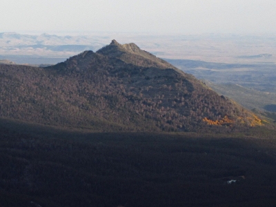 Sweetwater Needles