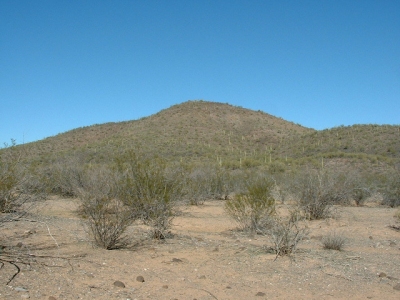 Thorn Benchmark