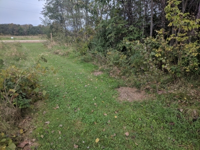 Blue Mounds, East