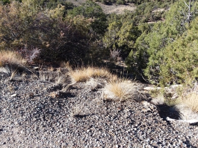 Black Ridge Canyons Wilderness HP