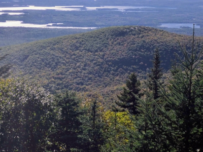 "Turtleback Mountain"