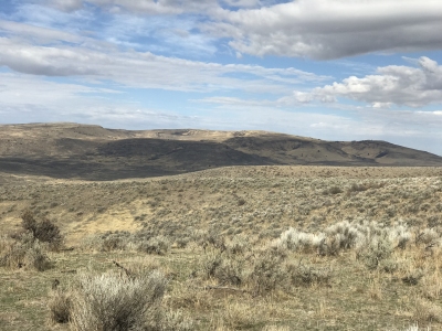 Spring Mountain