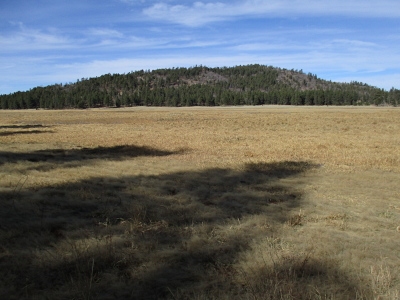 Coleman Knoll