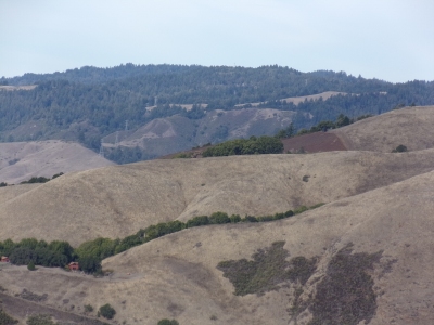 Sierra Morena