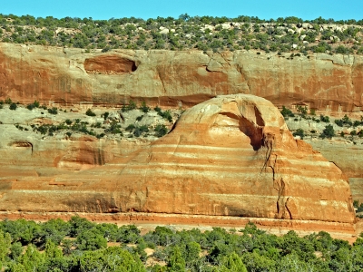"Moby Dick's Head"