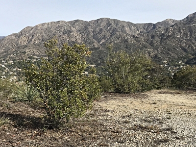 Yerba Buena Ridge