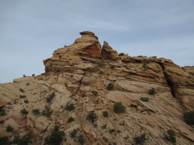 Tselgiizhil