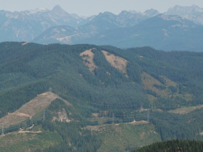 "Dandy Peak"
