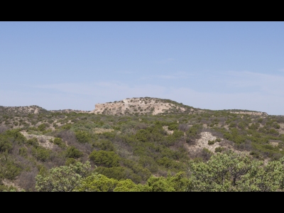 John Haynes Ridge