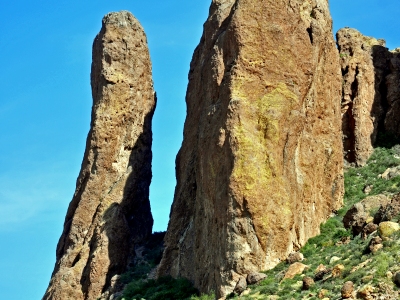 "The Tower"