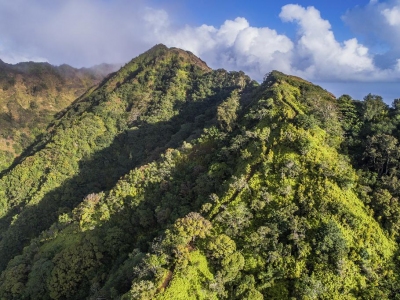 "Kuliou'ou Ridge"