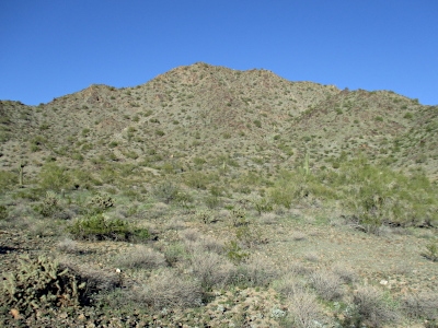 "Crest Summit"