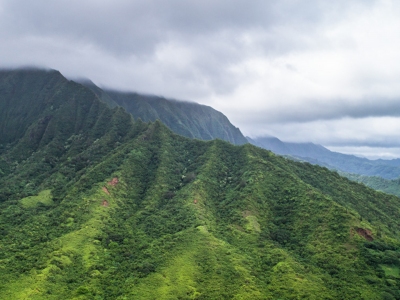 Nanaikaalaea