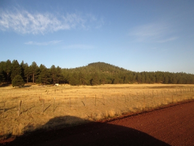 Fortynine Hill