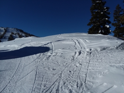 Bald Eagle Mountain