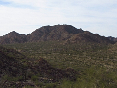 Cactus Benchmark