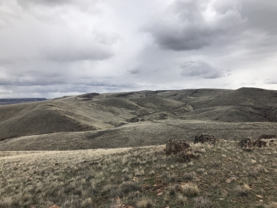 Bannock Ridge