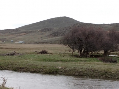 Coyote Point