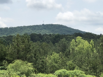Walker Mountain