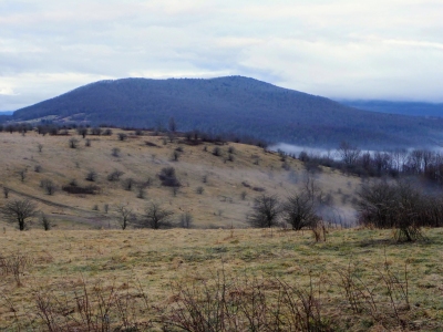 Red Lick Mountain
