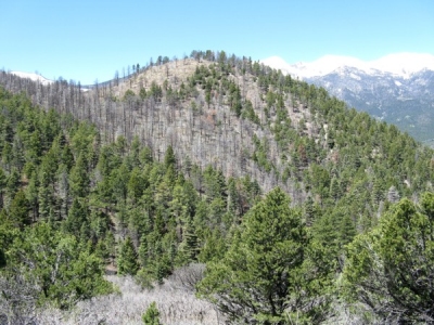 Rattlesnake Mountain