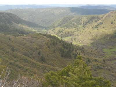 Newton Mesa