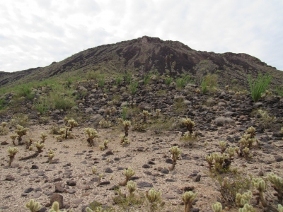 Face Mountain, South