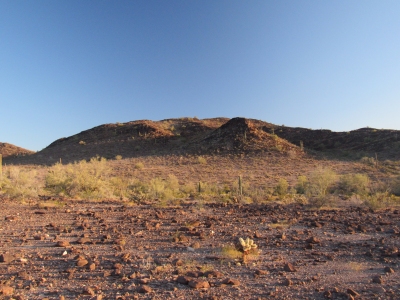 1895