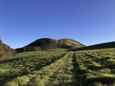 Lahikiola