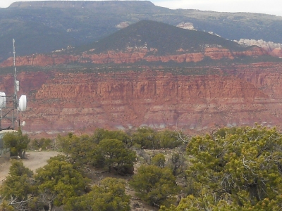 Ant Hill, The