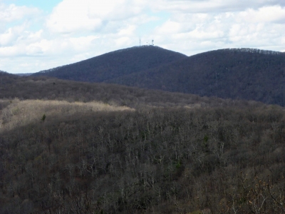 Fork Mountain