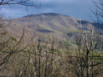 Bluff Mountain