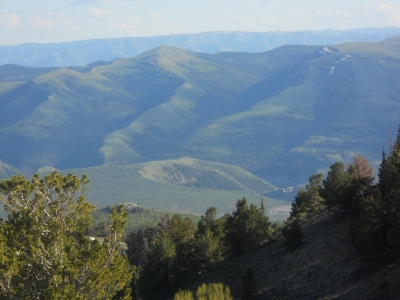 Ford Ridge