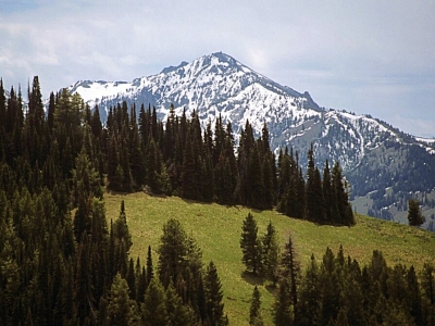 Iron Mountain