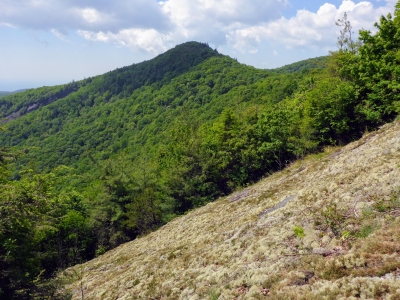 Sassafras Mountain