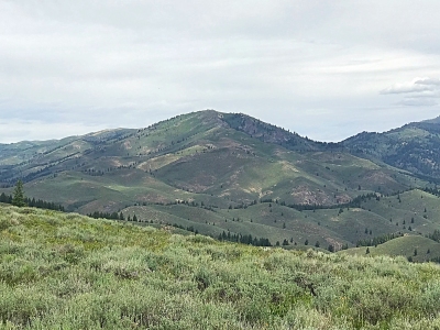 Deer Mountain